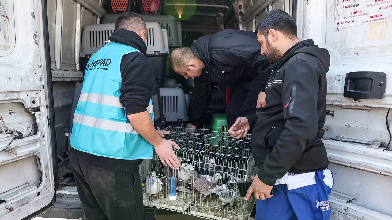 Zoológicos exigen fin del tráfico ilegal de fauna: el 90% de animales muere en el traslado