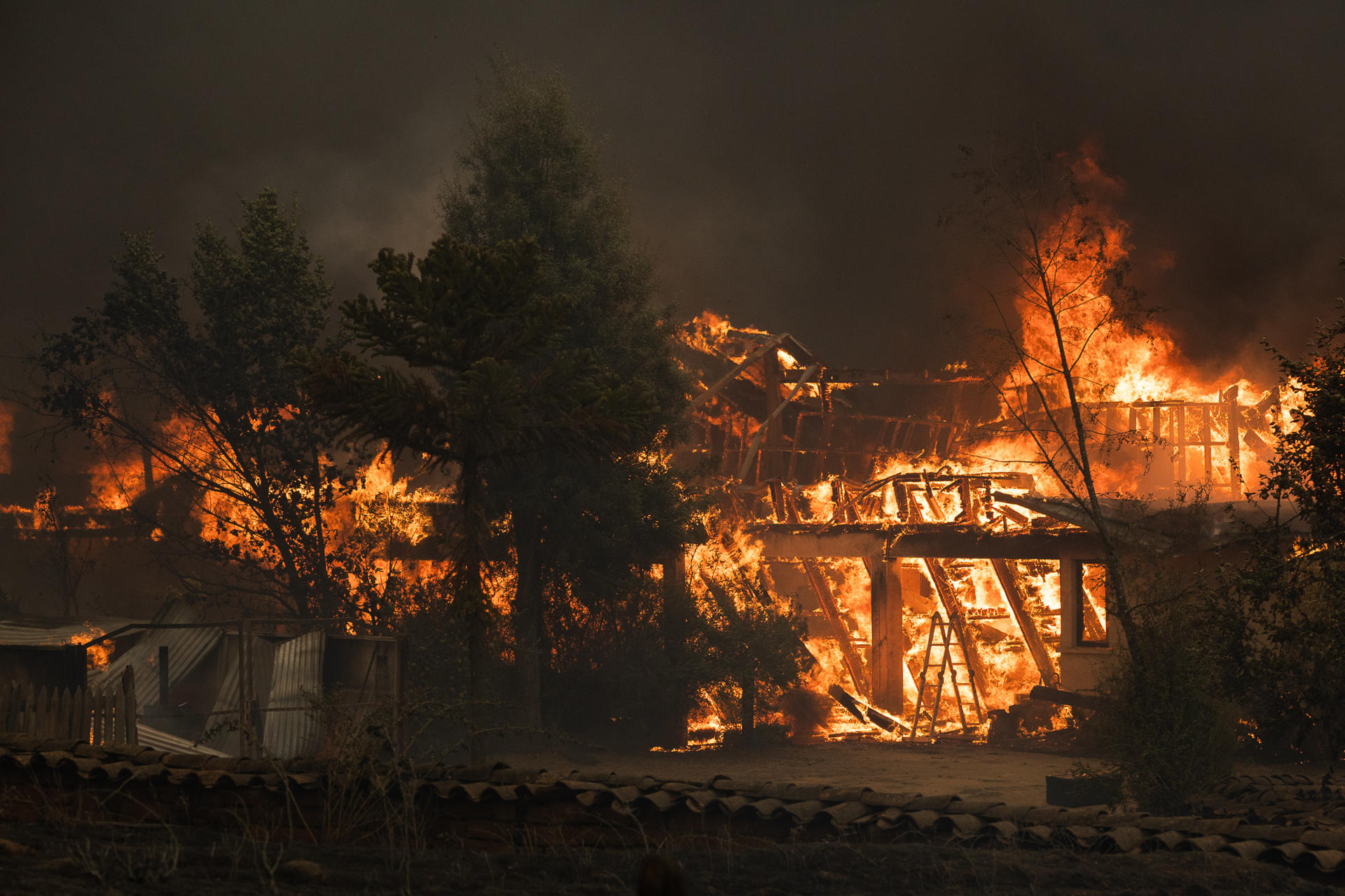 Continúan los incendios en centro y sur de Chile. Foto: EFE/ Pablo Hidalgo