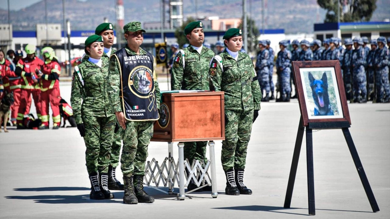 Delegación militar de ayuda regresa de Turquía con restos de Proteo