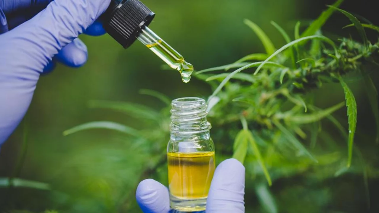 Negocio cannabico: delta 8 y 9 THC son sustancias ilegales, dice la DEA