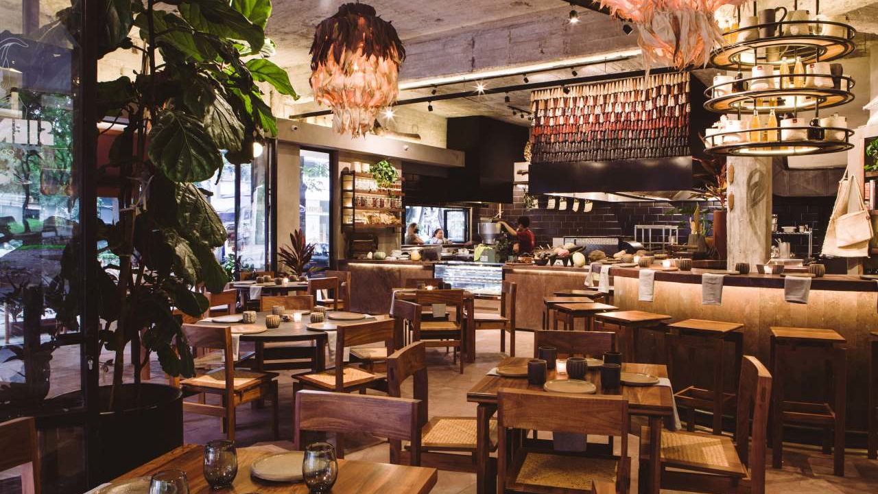 Siembra Comedor: travesía por México al amparo del maíz criollo