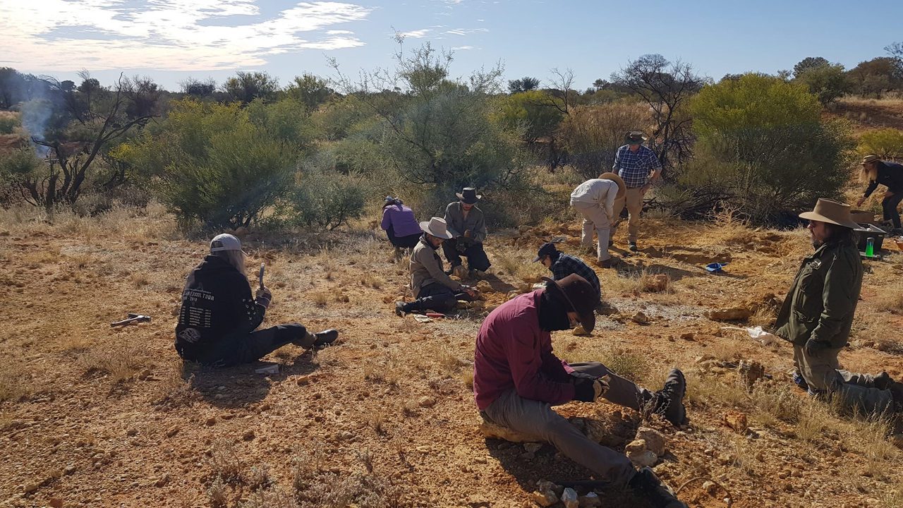 Hallan fósiles de dos marsupiales australianos de 25 millones de años