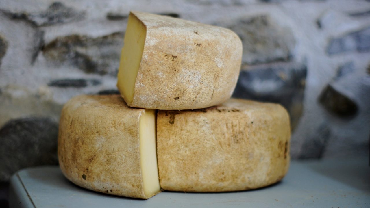 Platillos donde el queso es el ingrediente estrella