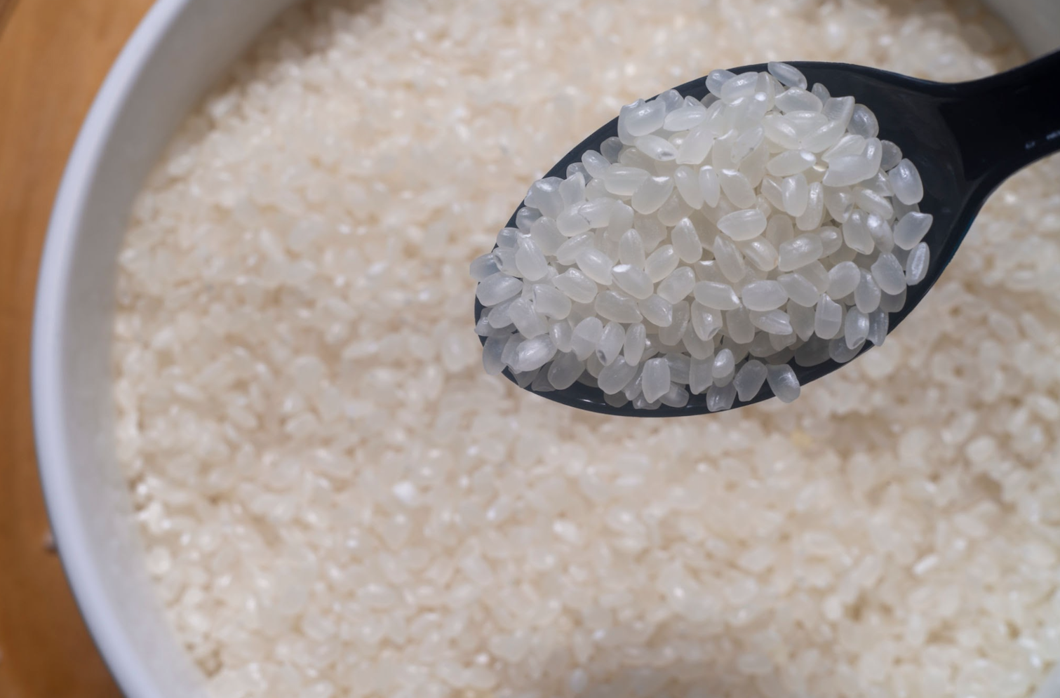 Científicos cultivan por primera vez arroz de cosecha rápida en zonas desérticas de China