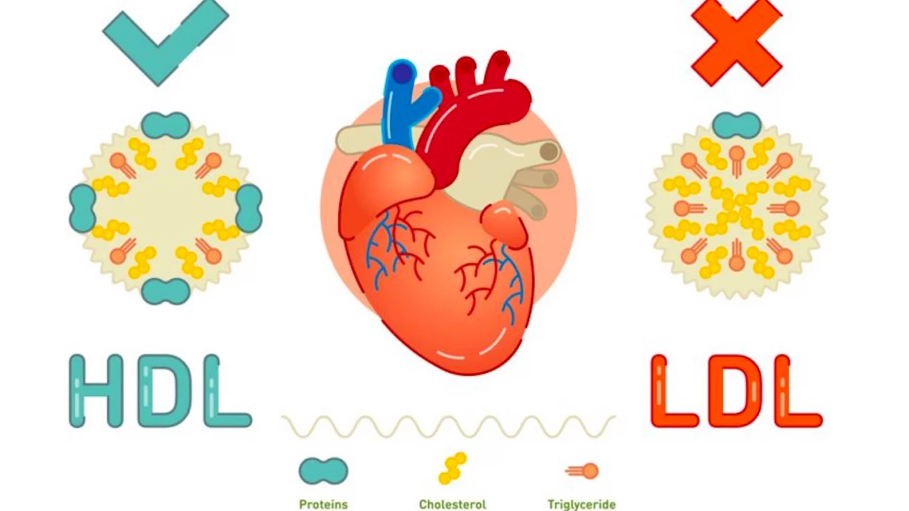 Cinco consejos comprobados para reducir el colesterol naturalmente, según cardiólogos