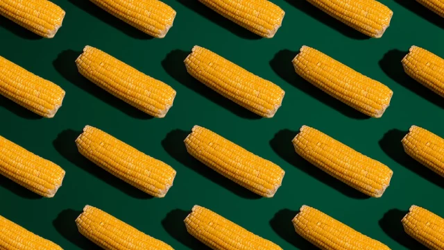 Brasil maíz