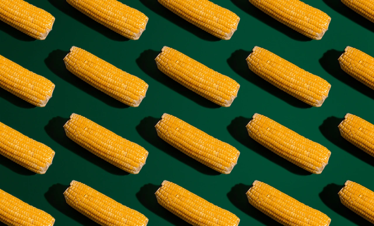 Brasil maíz