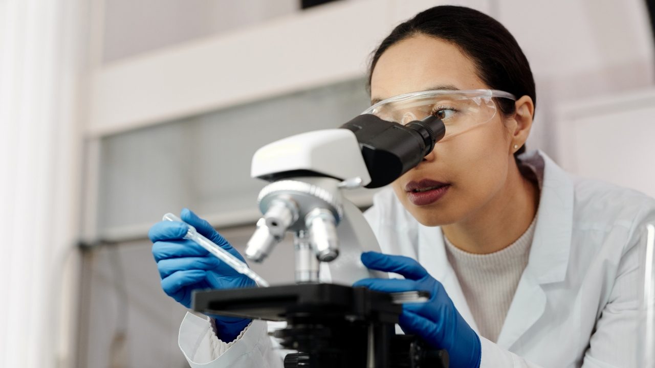 Investigadores chinos crean proteína para alimentar animales a partir de carbón