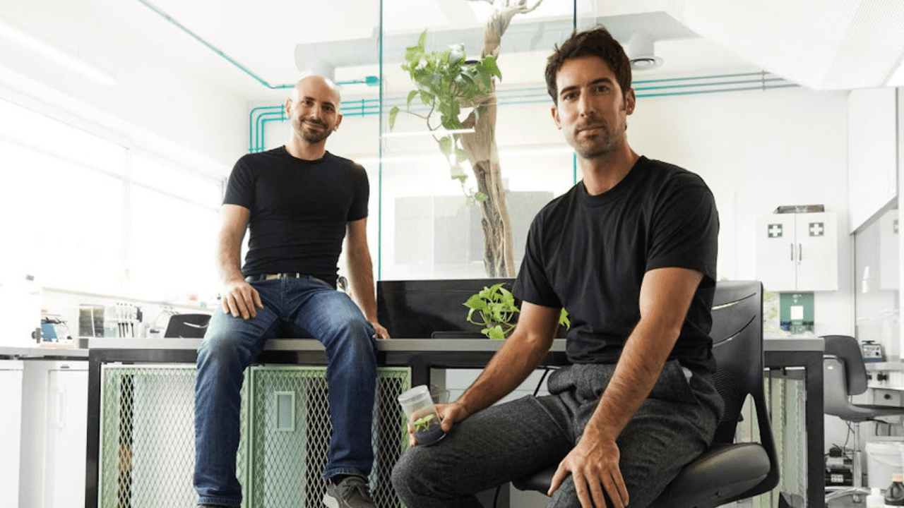 Conoce a los emprendedores que diseñaron una planta que elimina la contaminación en interiores