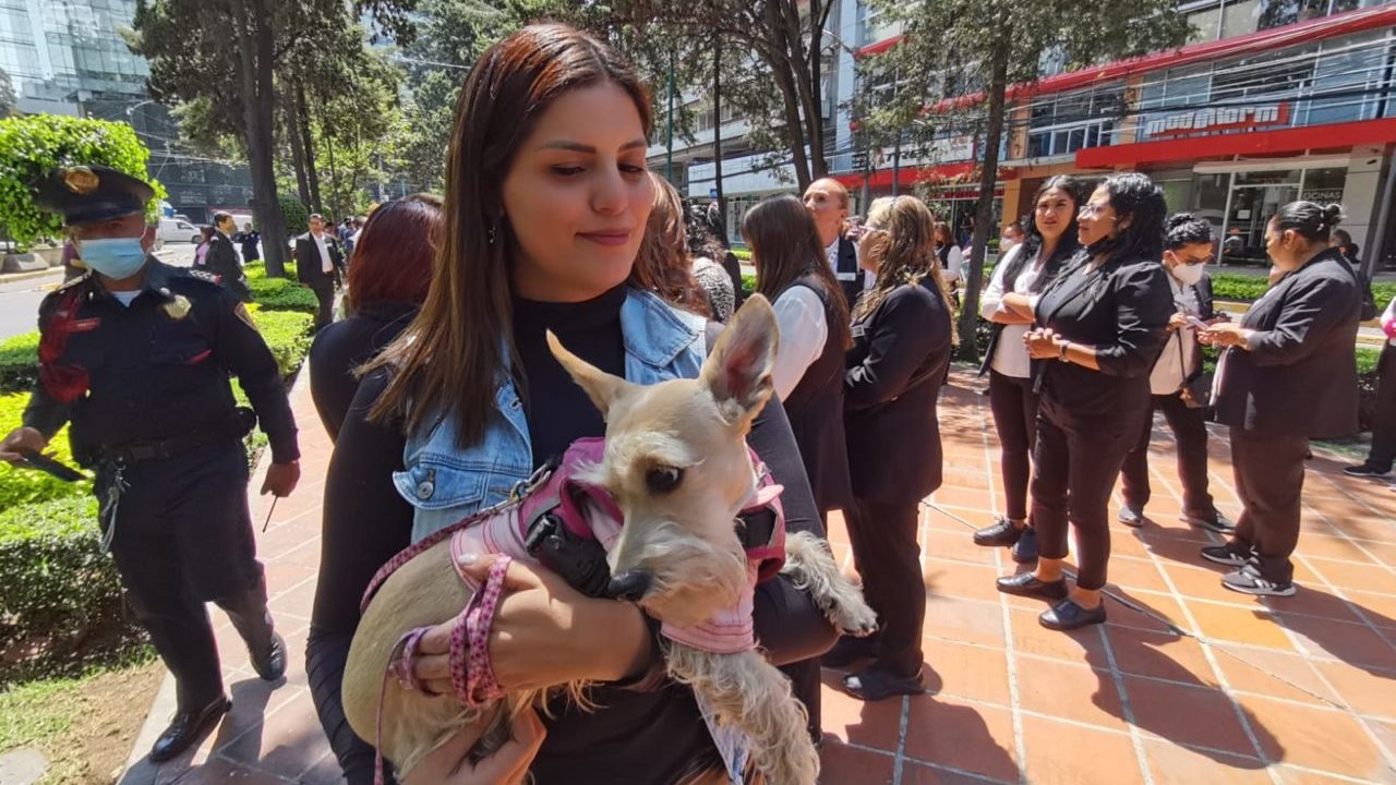 Simulacro en CDMX se vive con temor por el sismo de la noche previa