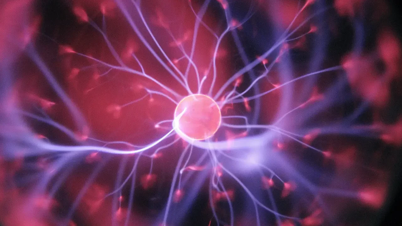 Investigadores descifran proceso neuronal detrás del aprendizaje y el olvido