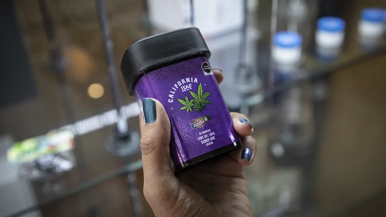 Ellos venden con éxito parafernalia de la marihuana, pero esperan abrir dispensarios