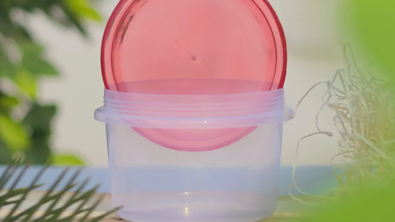 Tupperware se declara en quiebra: de ser protagonistas en todas las cocinas, al olvido