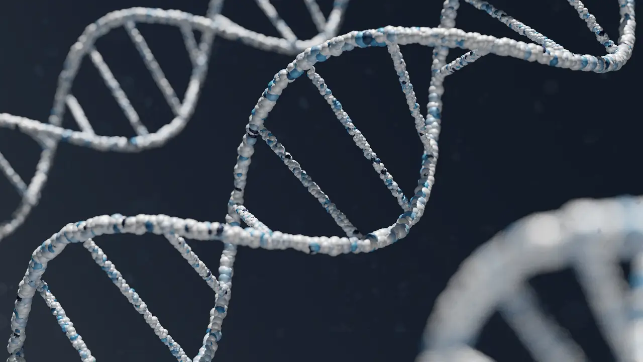 ADN antiguo explica el origen de la predisposición a enfermedades como la esclerosis