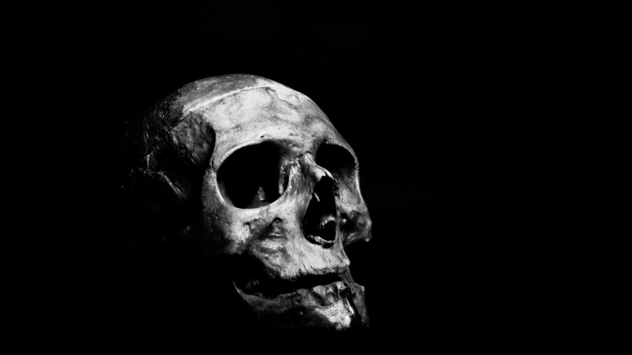 Los parientes evolutivos humanos se masacraban unos a otros hace casi 2 millones de años