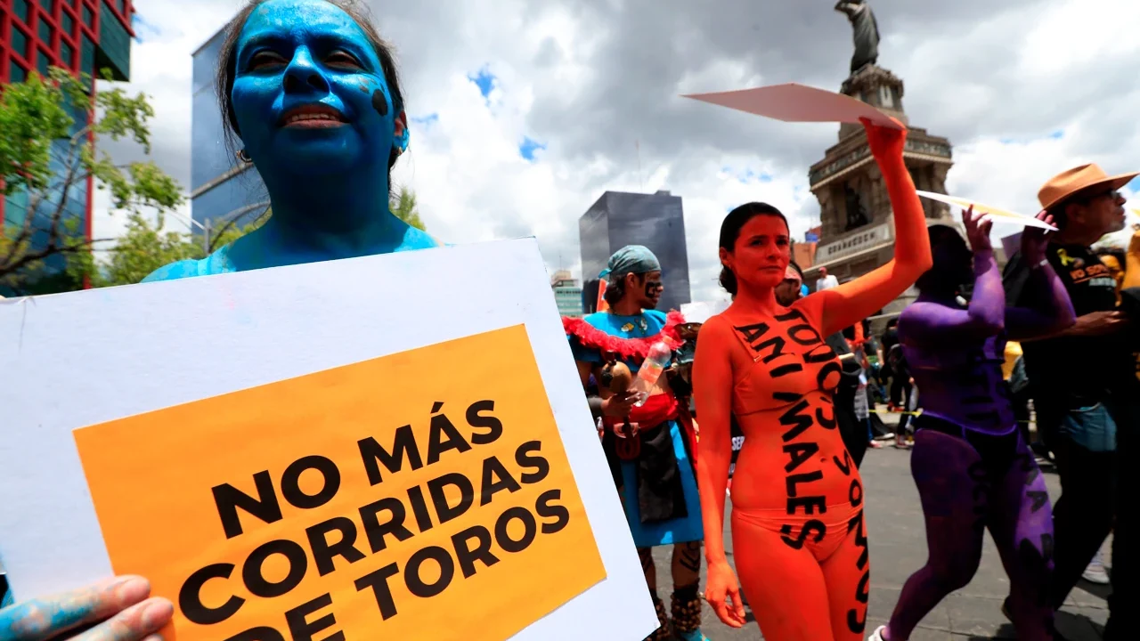 Diputados aprueban reformas para prohibir el maltrato animal