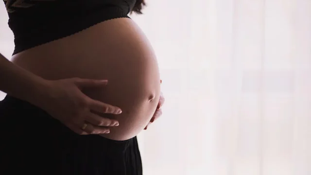 sistema-madres-embarazo