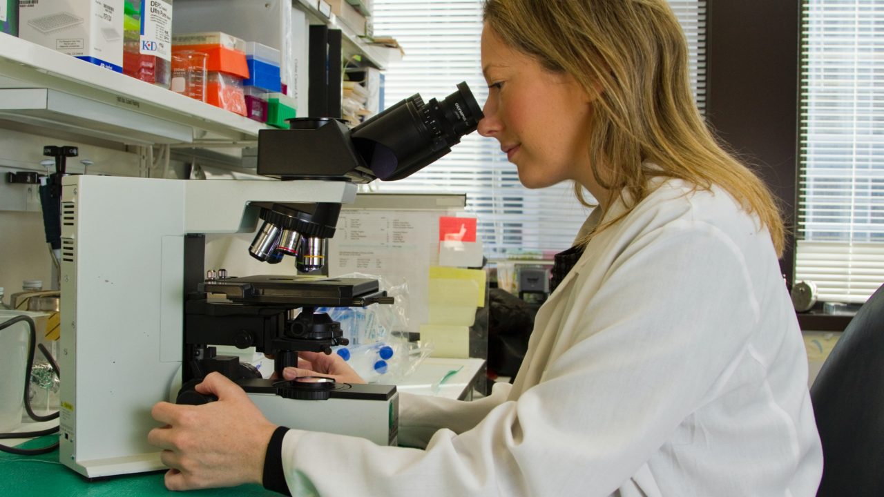 Científicos señalan proteína antibacteriana como posible ‘estrategia’ frente al cáncer de páncreas