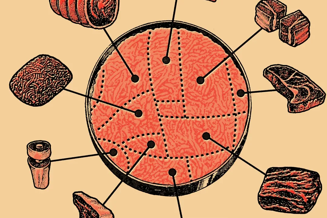 ¿Costo? ¿Proteínas? Esto es todo lo que necesitas saber sobre la carne cultivada en laboratorio