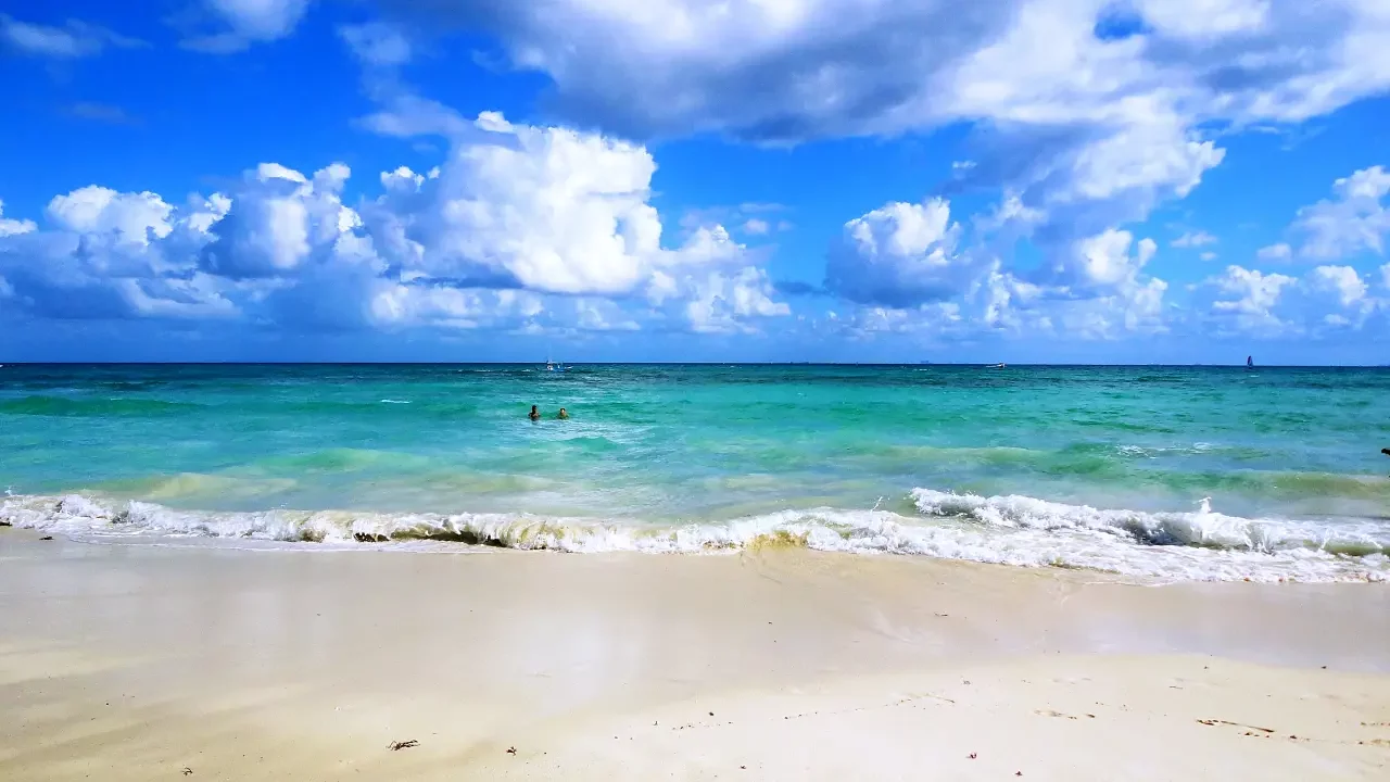 5 sitios imperdibles en Playa del Carmen
