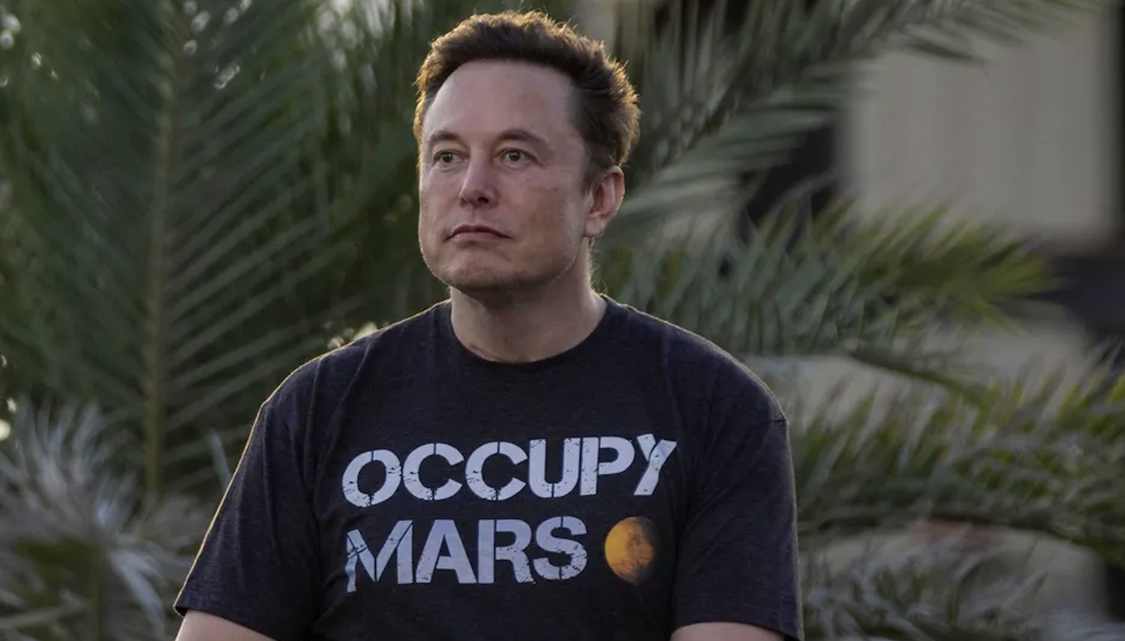 La caída de las acciones de Tesla casi derriba a Elon Musk de su pedestal como la persona más rica del mundo el jueves.