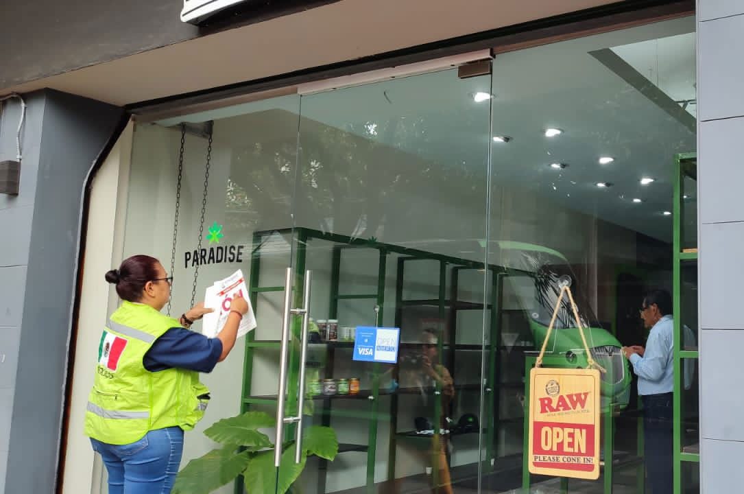 Clausuran tienda de cannabis en la CDMX ligada a Vicente Fox