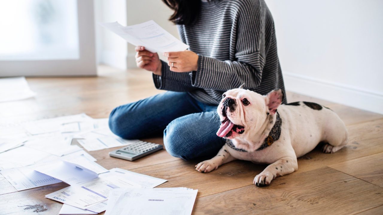 10 consejos que te ayudarán a ahorrar en los gastos de tu perrito