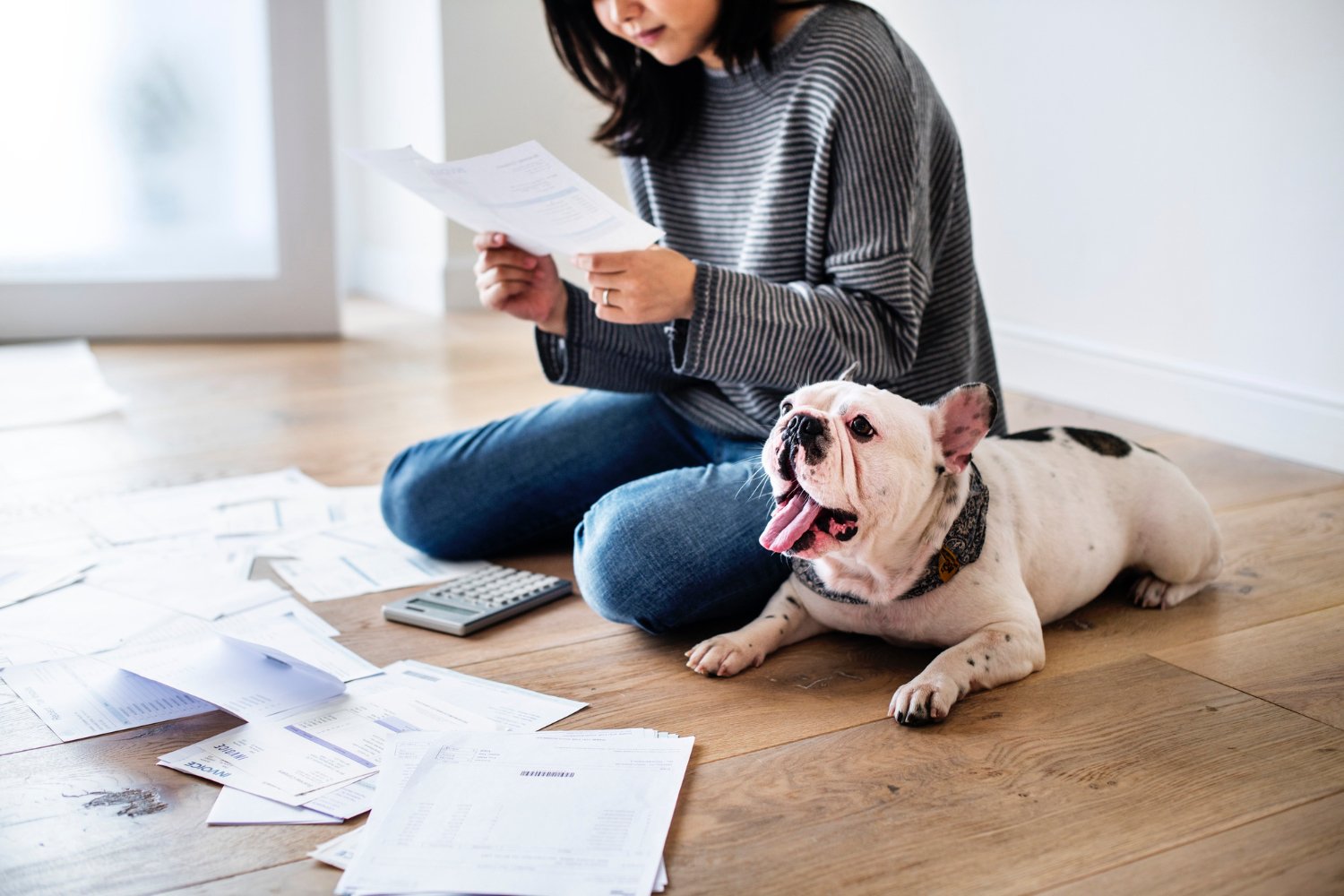 10 consejos que te ayudarán a ahorrar en los gastos de tu perrito