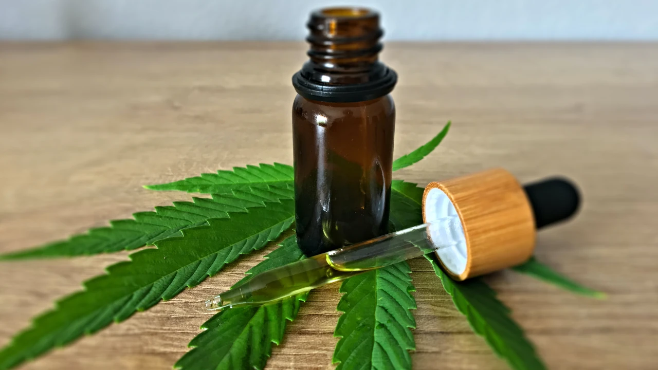 Cannabis medicinal: un horizonte de oportunidades en el desarrollo de medicamentos
