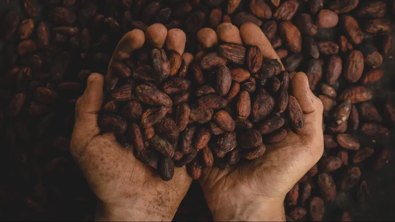 6 bebidas mexicanas emblemáticas hechas con cacao