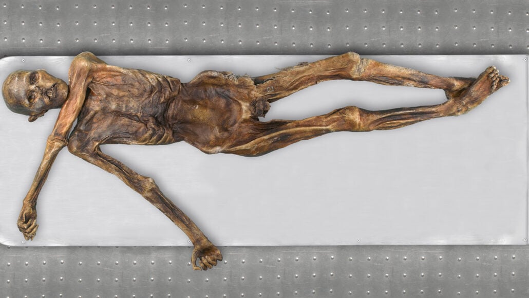 Ötzi el Hombre de los Hielos: tenía la piel y los ojos oscuros y era posiblemente calvo