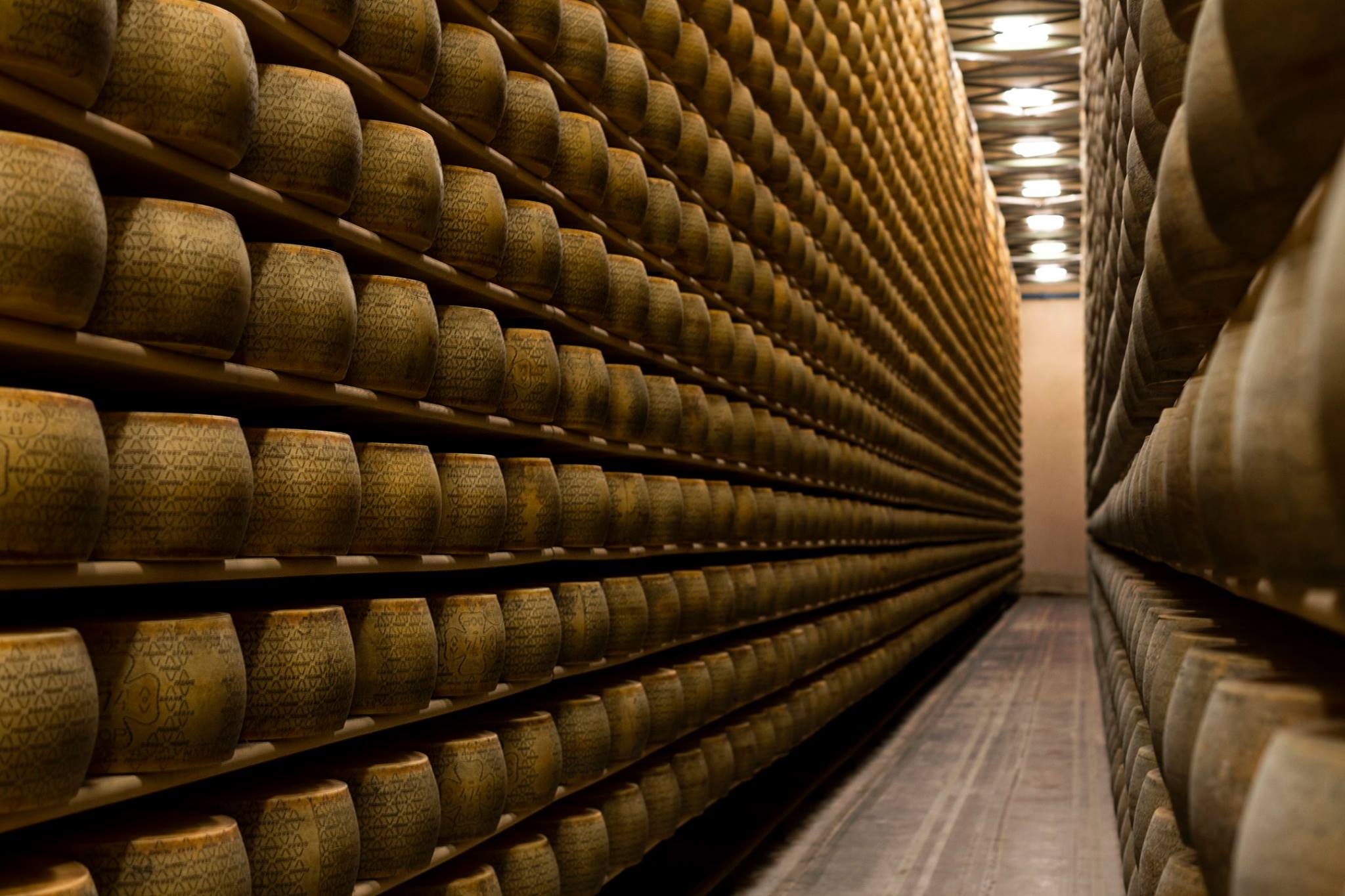 Muere empresario italiano al ser aplastado por 25,000 hormas de queso Grana Padano