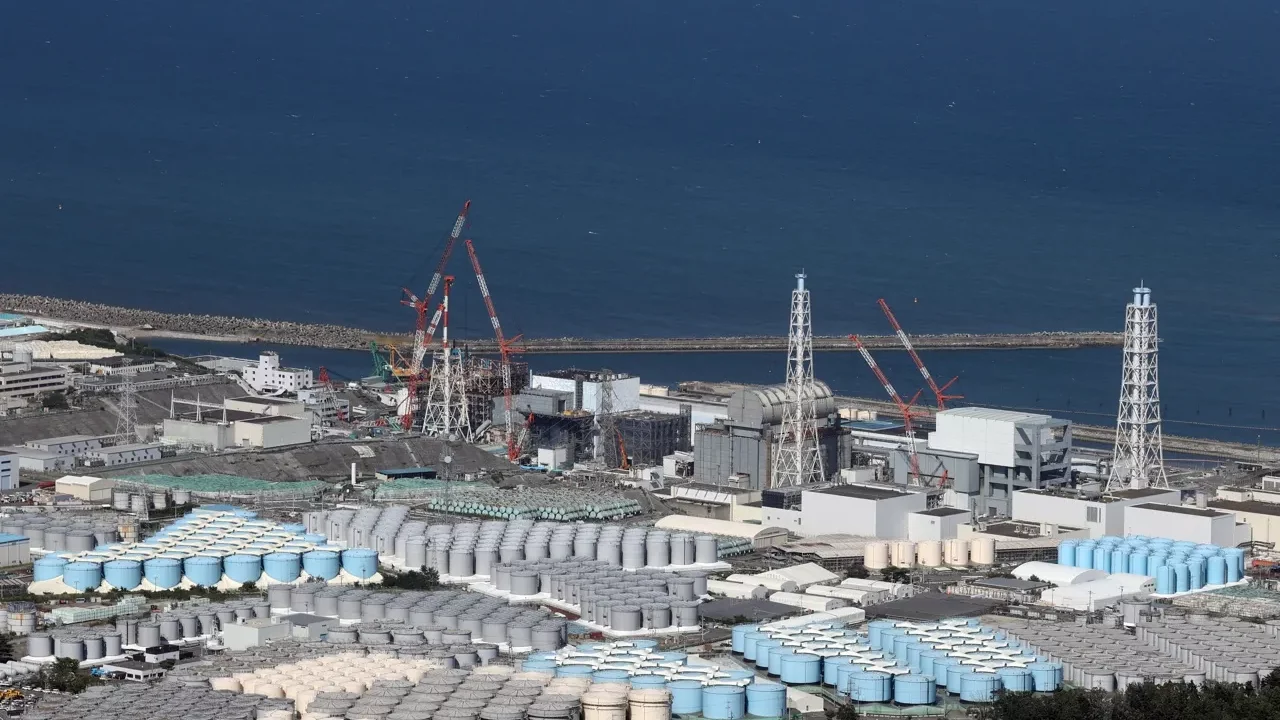 Japón no detecta material radioactivo en peces capturados cerca de central nuclear
