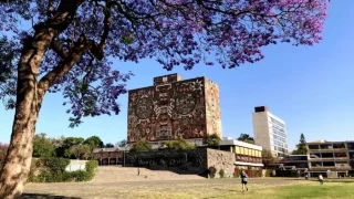 UNAM