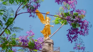CDMX-fin de semana
