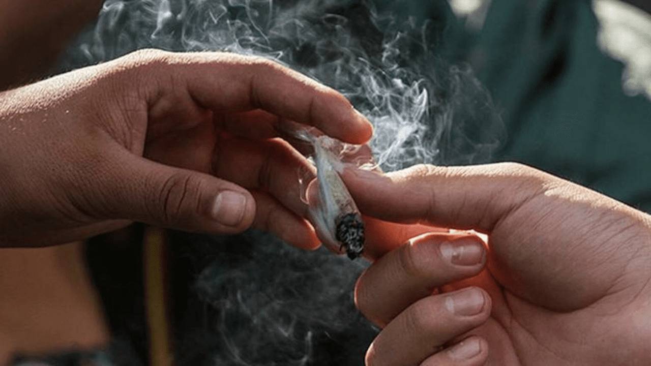 ONU alerta sobre el ‘renacimiento’ de las drogas psicodélicas en retiros espirituales
