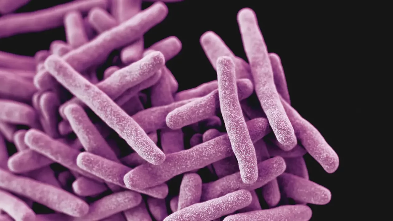 Identifican nueva fuente de antibióticos naturales dentro de las proteínas del cuerpo humano