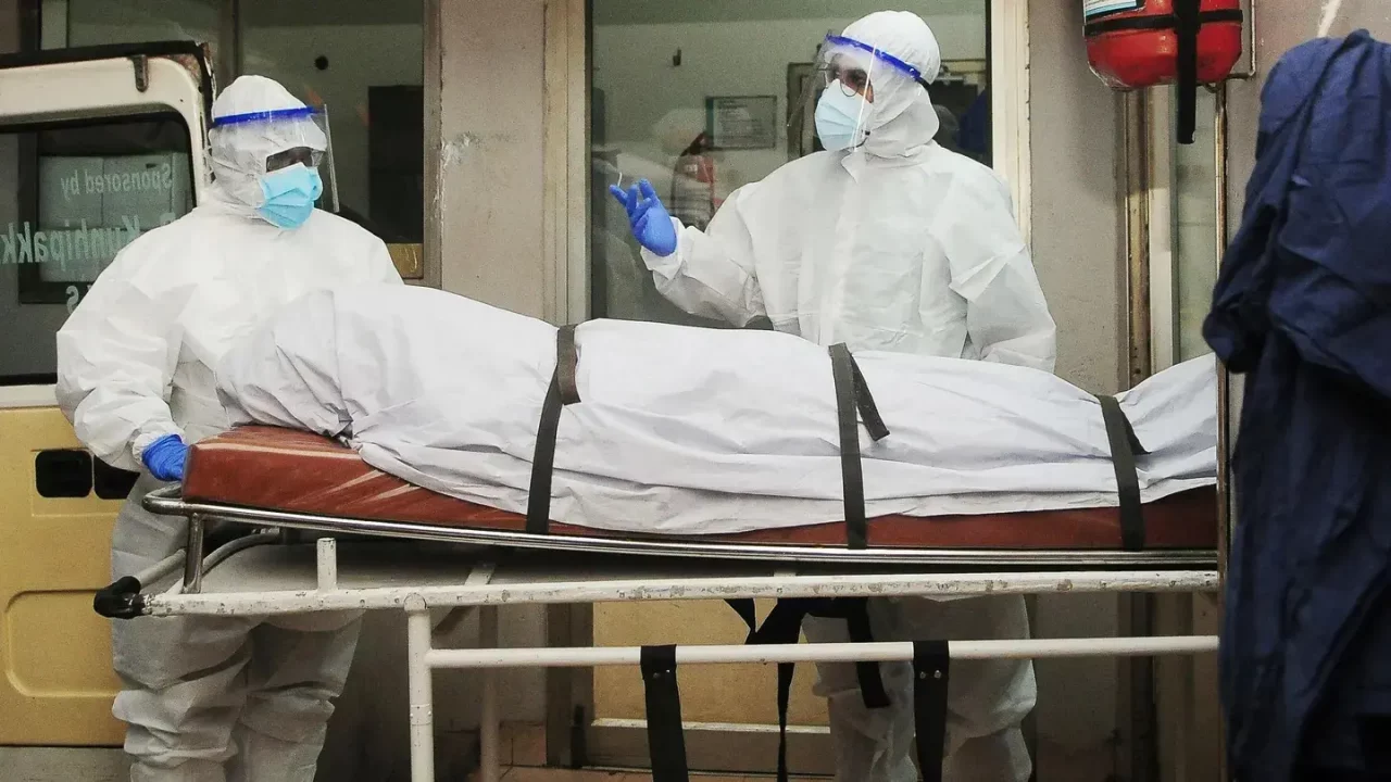 El mortífero virus Nipah: India se apresura a contener el brote