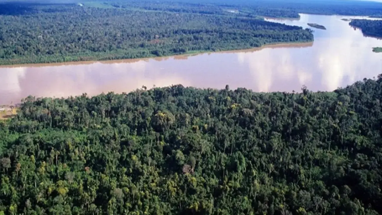 Países amazónicos pierden un millón de hectáreas de superficie de agua