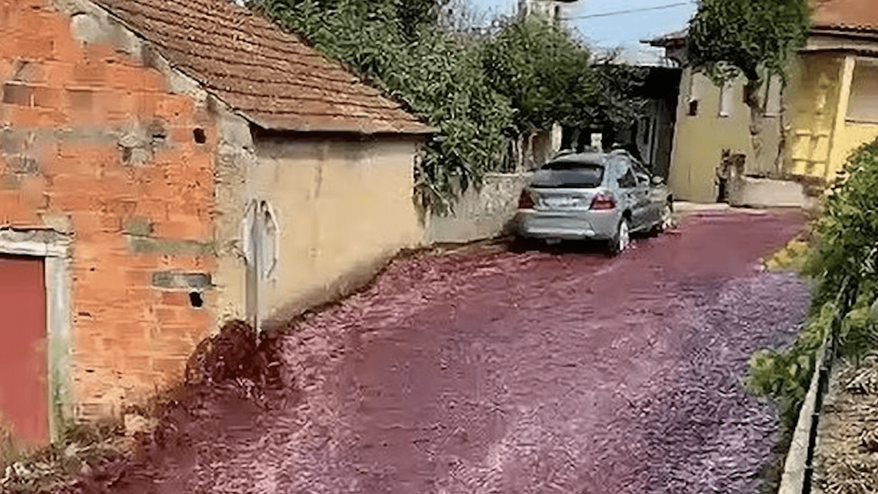 Derrame celestial: un río de vino tinto inunda las calles de un pueblo de Portugal