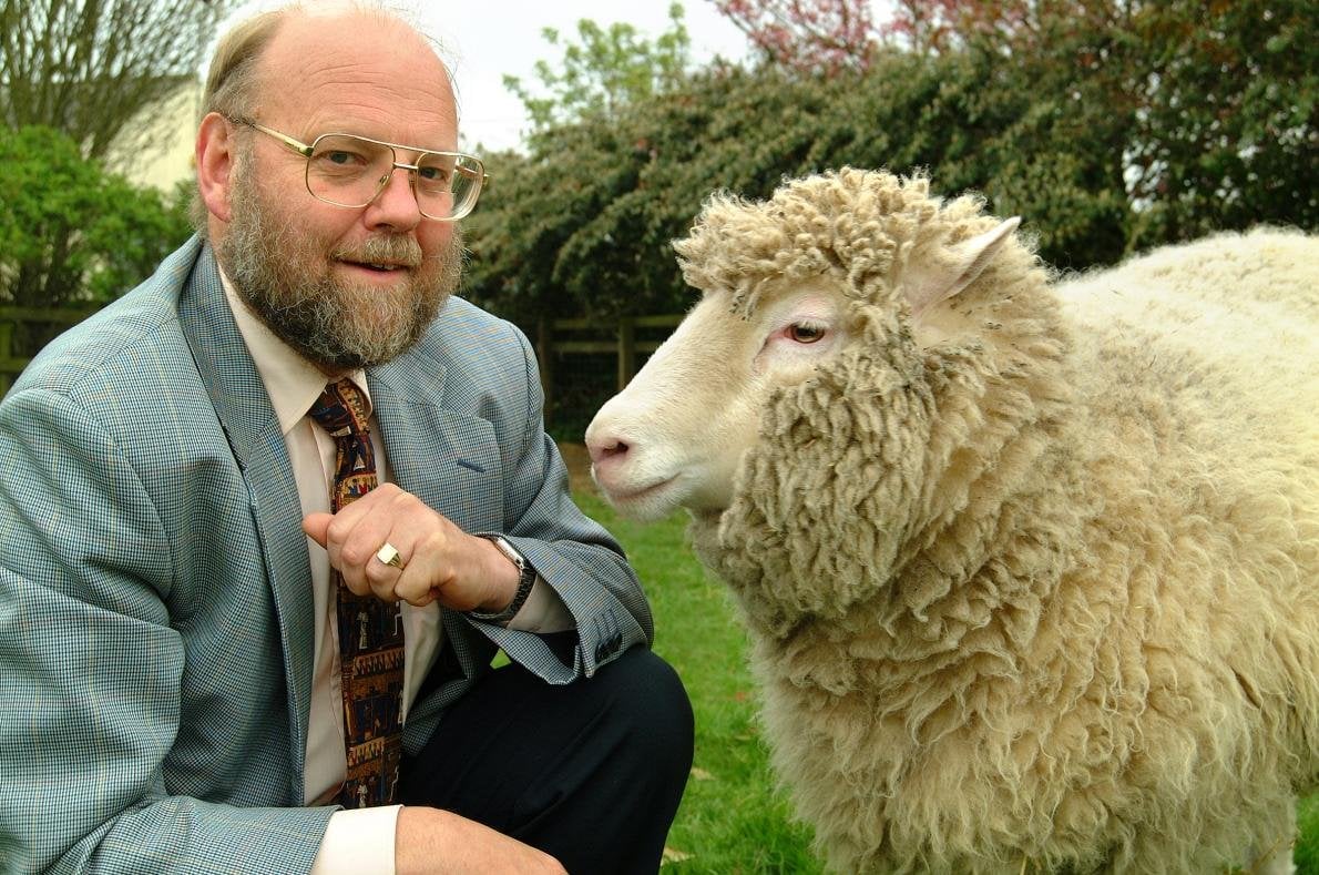 Muere a los 79 años Ian Wilmut, ‘padre’ de la oveja ‘Dolly’