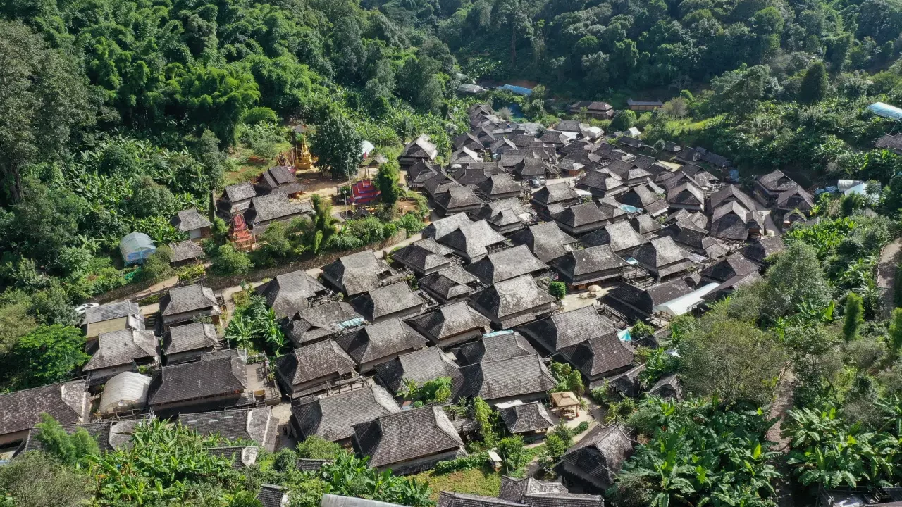 El entorno cultural de bosques de té en China, declarado Patrimonio Mundial