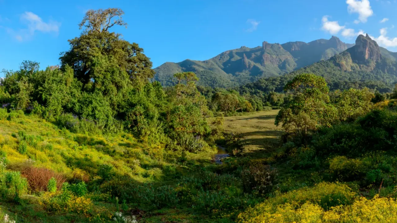 Las montañas de Bale en Etiopía ahora son Patrimonio de la Humanidad