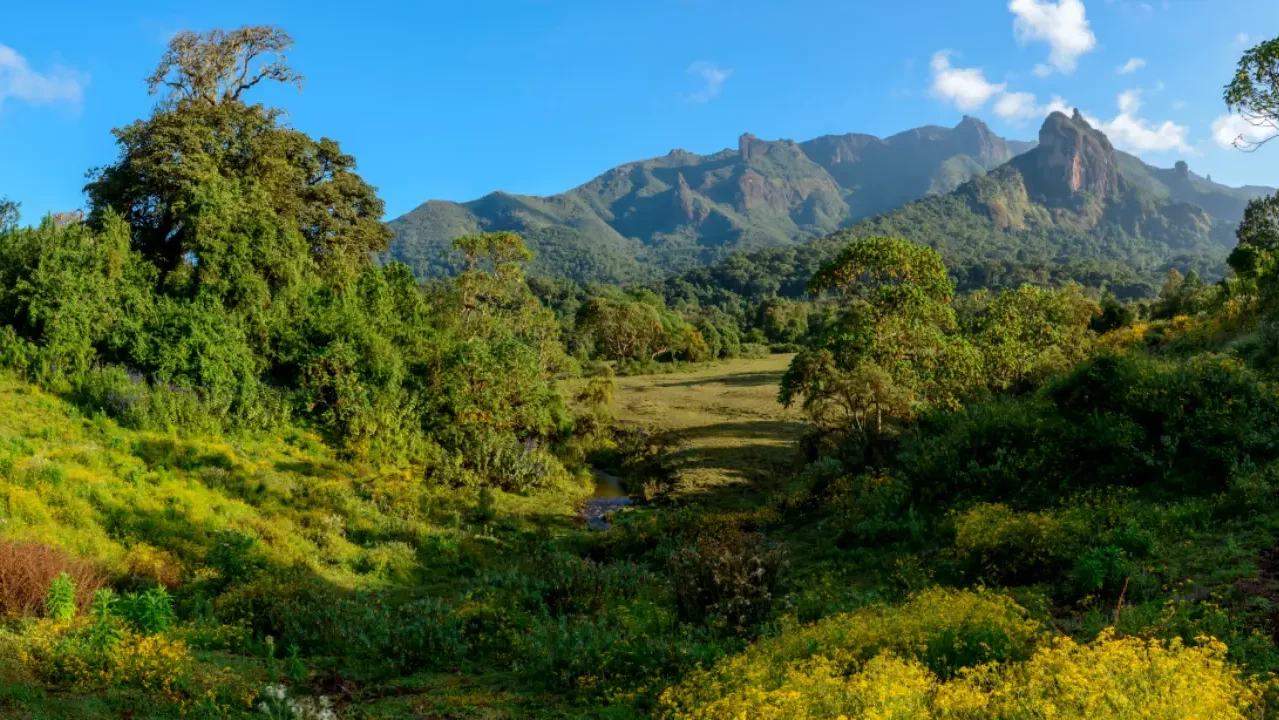 Las montañas de Bale en Etiopía ahora son Patrimonio de la Humanidad