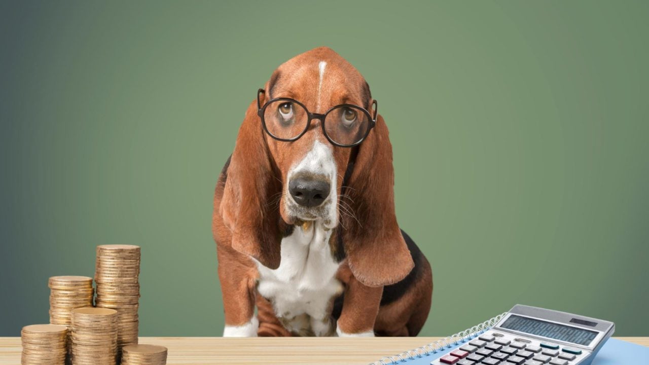 ‘Ahorrar’ en esto puede reducir hasta 20% la vida de tu perro