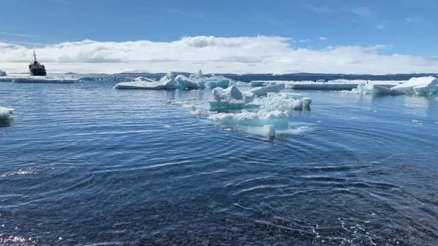 hielo-antártico-invierno-composición musical