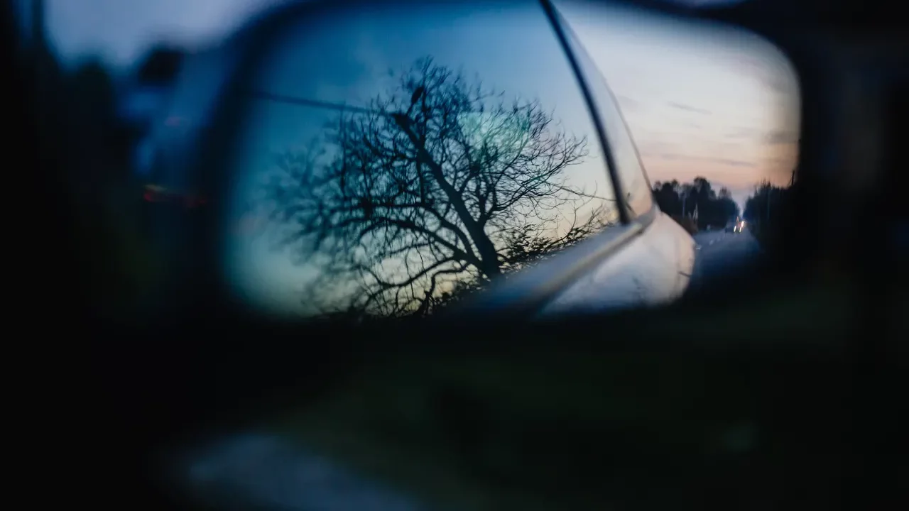 Hasta 25 mil pesos puede costar la caída de un árbol sobre tu auto