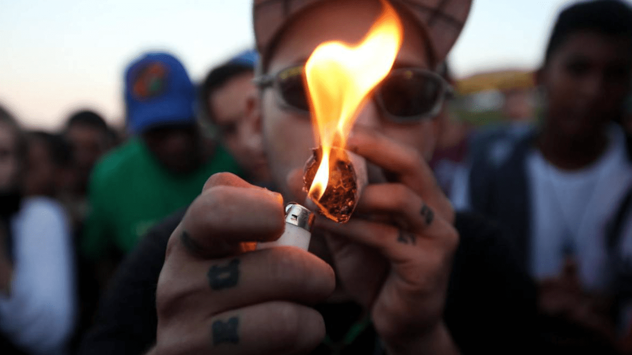 Campaña destaca la importancia de contar con un permiso de autoconsumo de marihuana y cómo obtenerlo; aquí los detalles