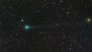Cometa Nishimura