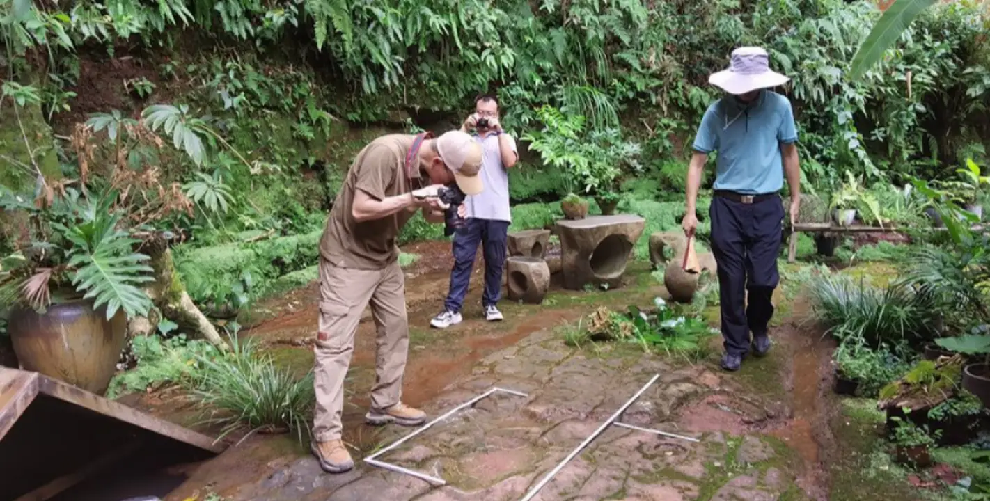 Niño descubre rara combinación de huellas de dinosaurio en el centro de China